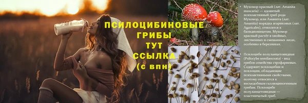 ешки Зерноград