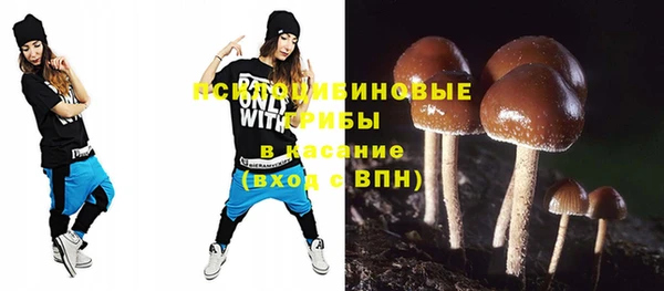 меф Инсар